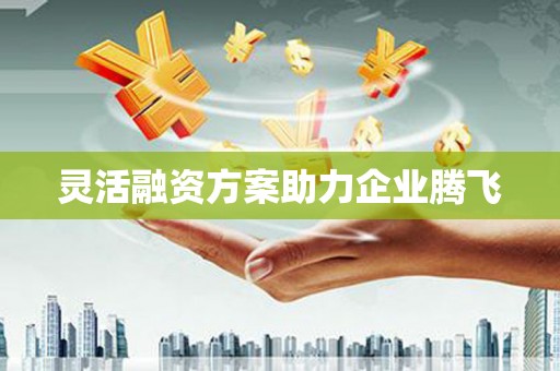 法库灵活融资方案助力企业腾飞