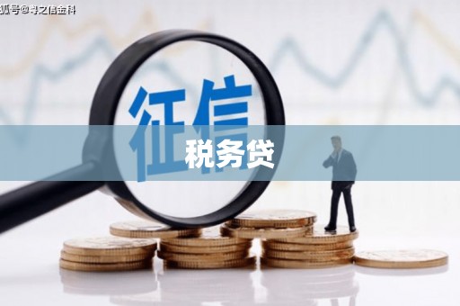 法库税务贷