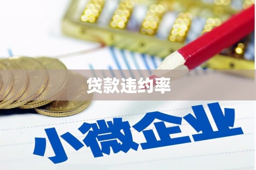 法库贷款违约率