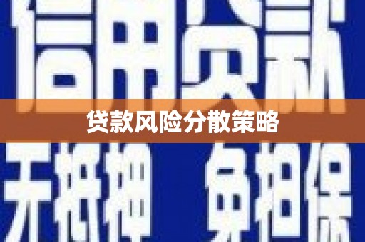 法库贷款风险分散策略