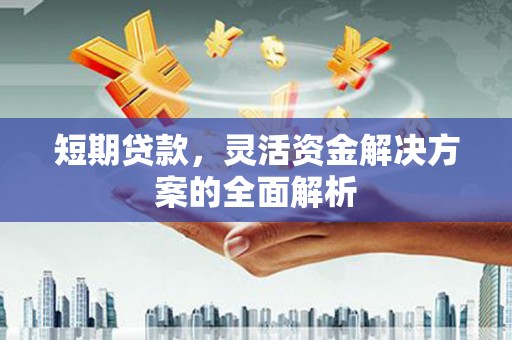 法库短期贷款，灵活资金解决方案的全面解析