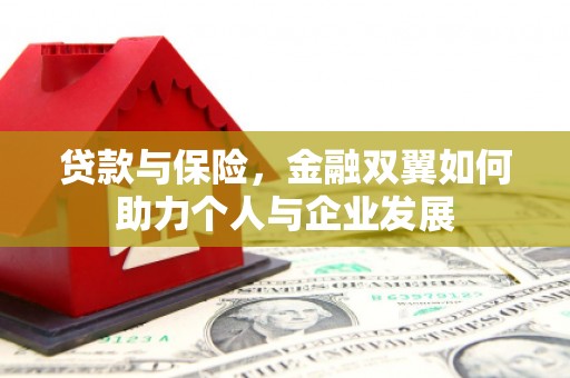 法库贷款与保险，金融双翼如何助力个人与企业发展