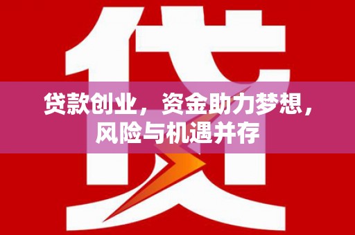 法库贷款创业，资金助力梦想，风险与机遇并存