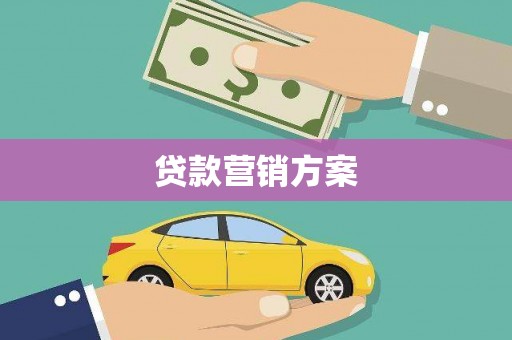 法库贷款营销方案