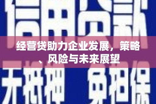 法库经营贷助力企业发展，策略、风险与未来展望