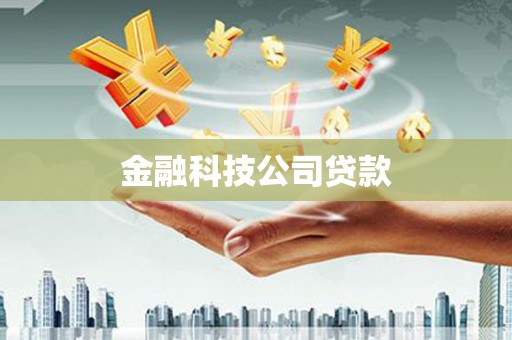 法库金融科技公司贷款