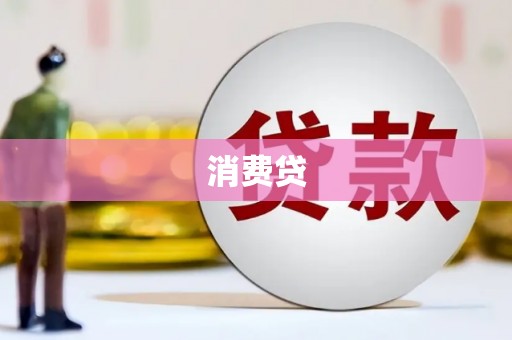 法库消费贷