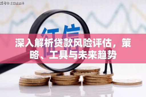 法库深入解析贷款风险评估，策略、工具与未来趋势