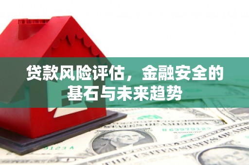 法库贷款风险评估，金融安全的基石与未来趋势