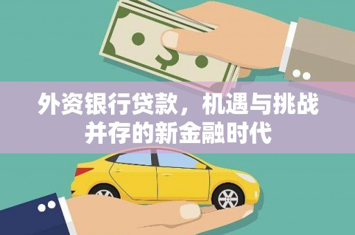 法库外资银行贷款，机遇与挑战并存的新金融时代