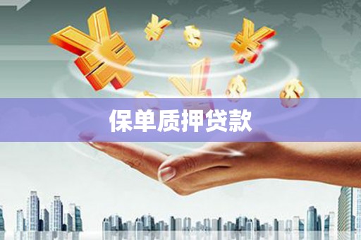 法库保单质押贷款