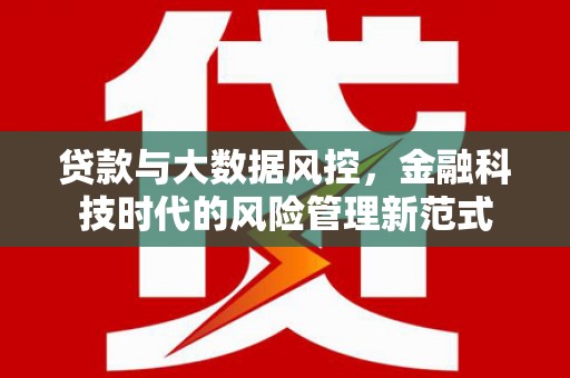 法库贷款与大数据风控，金融科技时代的风险管理新范式