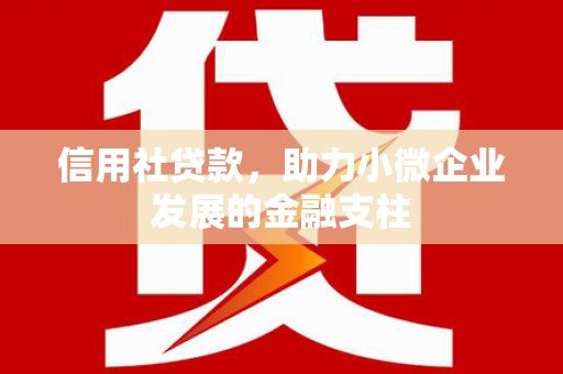 法库信用社贷款，助力小微企业发展的金融支柱