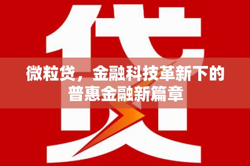 法库微粒贷，金融科技革新下的普惠金融新篇章