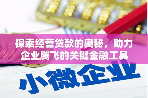法库探索经营贷款的奥秘，助力企业腾飞的关键金融工具