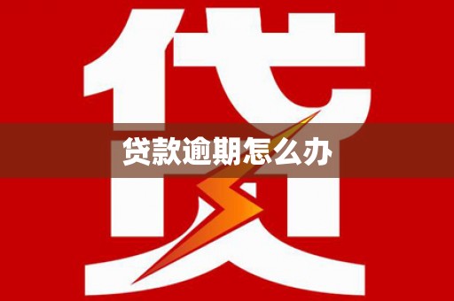 法库贷款逾期怎么办