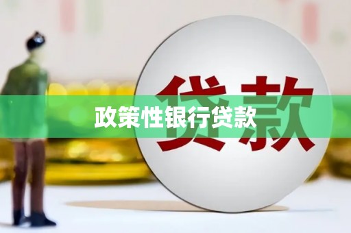 法库政策性银行贷款
