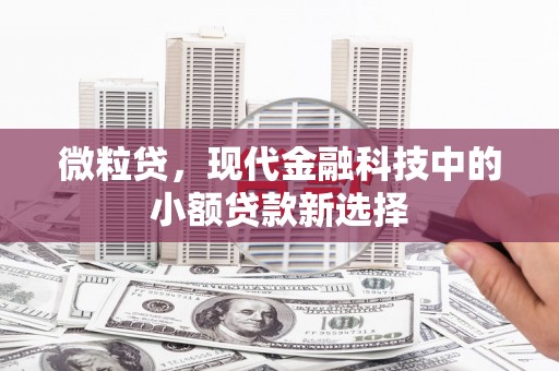 法库微粒贷，现代金融科技中的小额贷款新选择
