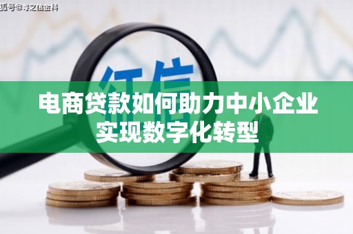 法库电商贷款如何助力中小企业实现数字化转型