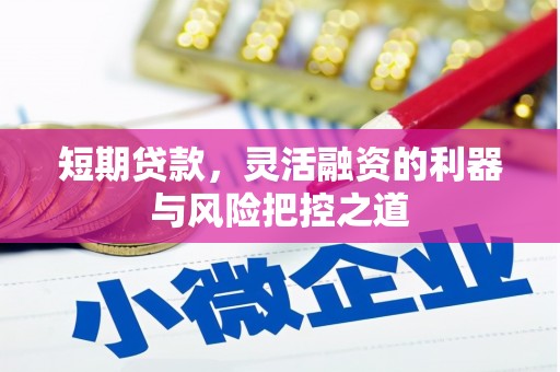 法库短期贷款，灵活融资的利器与风险把控之道