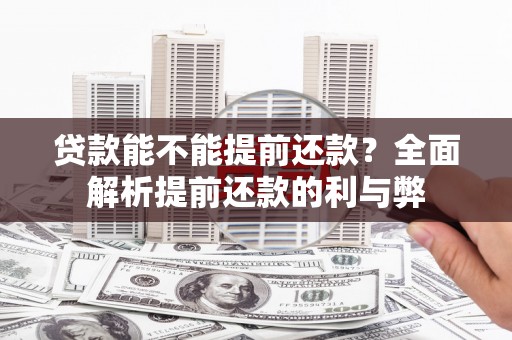 法库贷款能不能提前还款？全面解析提前还款的利与弊