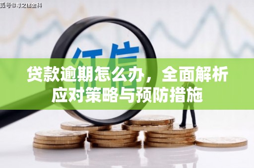 法库贷款逾期怎么办，全面解析应对策略与预防措施