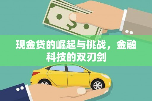 法库现金贷的崛起与挑战，金融科技的双刃剑