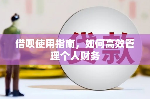 法库借呗使用指南，如何高效管理个人财务