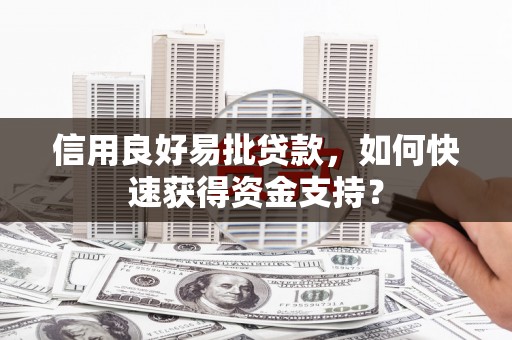 法库信用良好易批贷款，如何快速获得资金支持？