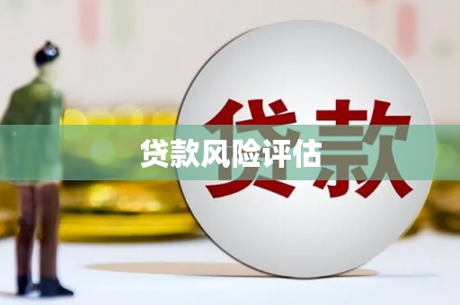 法库贷款风险评估