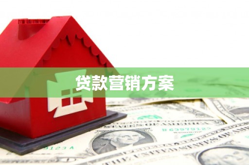 法库贷款营销方案