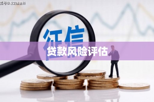 法库贷款风险评估