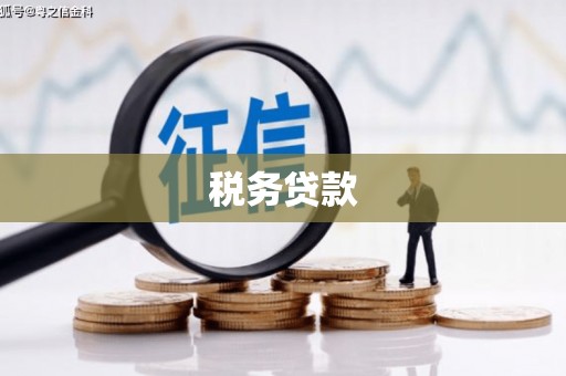 法库税务贷款