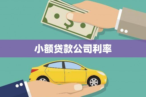 法库小额贷款公司利率