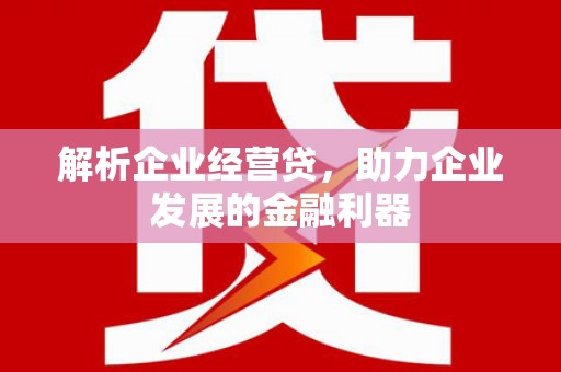 法库解析企业经营贷，助力企业发展的金融利器
