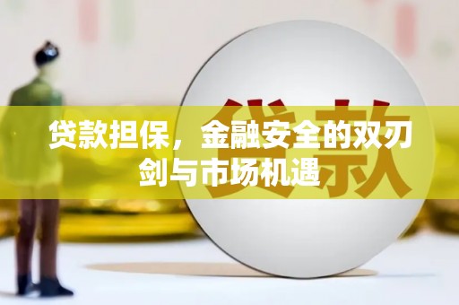 法库贷款担保，金融安全的双刃剑与市场机遇