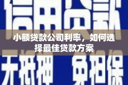 法库小额贷款公司利率，如何选择最佳贷款方案