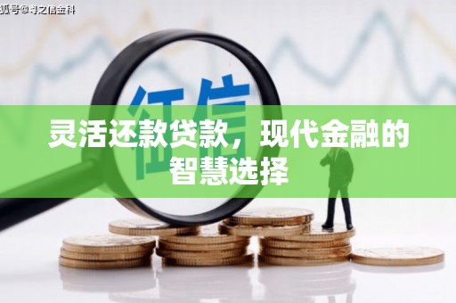 法库灵活还款贷款，现代金融的智慧选择