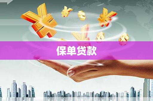 法库保单贷款