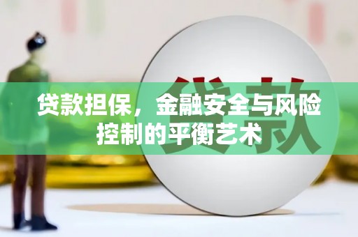 法库贷款担保，金融安全与风险控制的平衡艺术