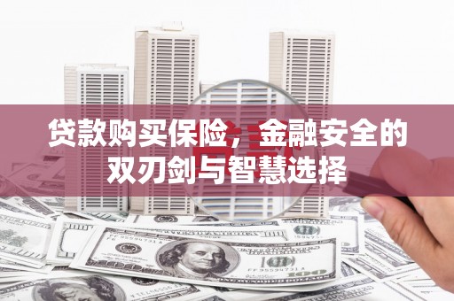法库贷款购买保险，金融安全的双刃剑与智慧选择