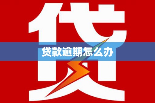 法库贷款逾期怎么办