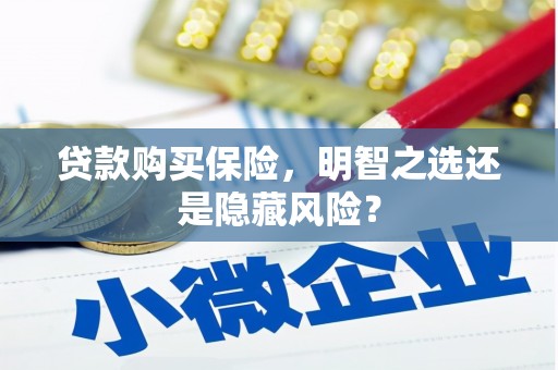 法库贷款购买保险，明智之选还是隐藏风险？