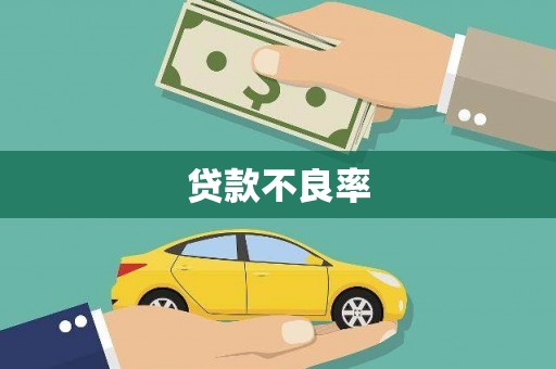 法库贷款不良率