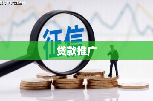 法库贷款推广