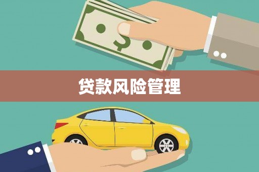 法库贷款风险管理