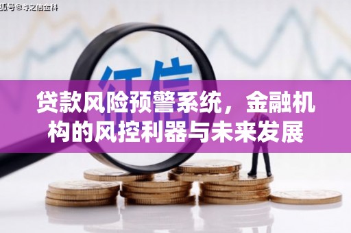 法库贷款风险预警系统，金融机构的风控利器与未来发展