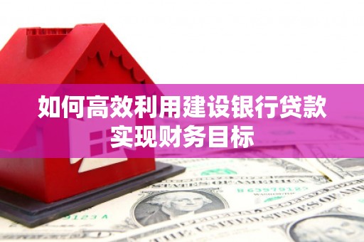 法库如何高效利用建设银行贷款实现财务目标