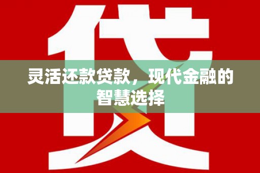法库灵活还款贷款，现代金融的智慧选择