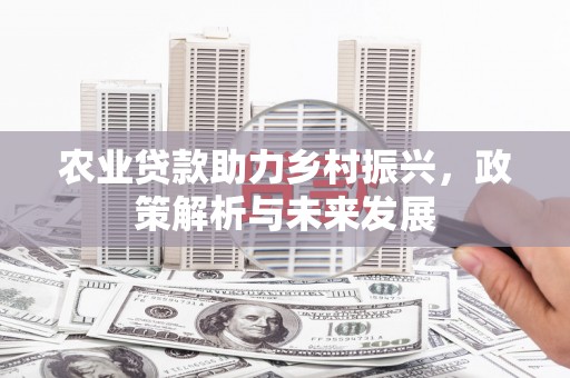 法库农业贷款助力乡村振兴，政策解析与未来发展
